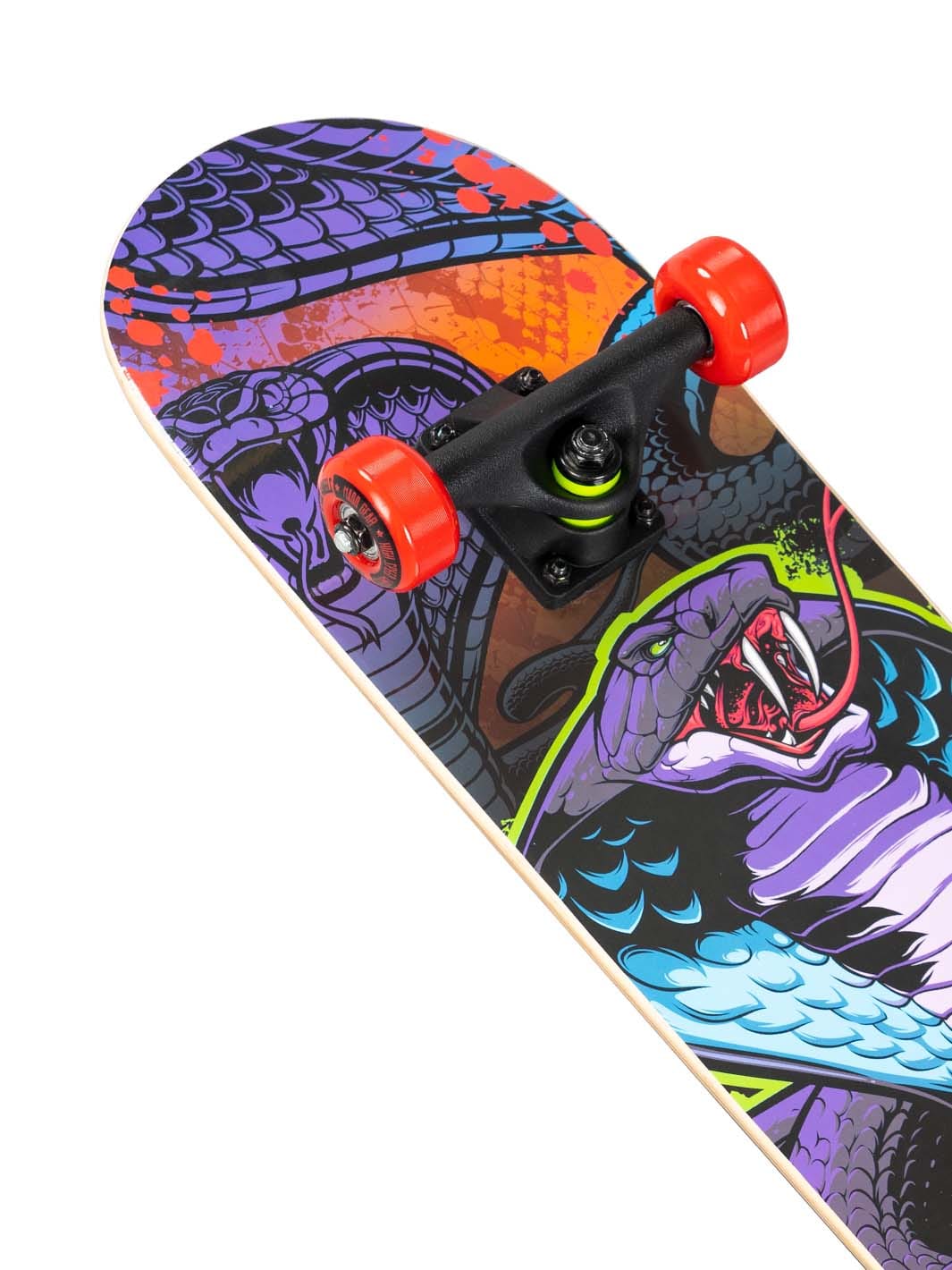 madd-gear-ltr-31-skateboard-zootoxin image 2